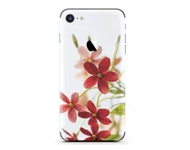 Наклейка iPhone 7/8/SE 2020 Surface C (531)