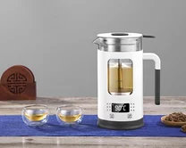 Чайник Xiaomi Youpin life element multifunctional healthy bottle L13